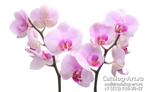 картинки для фотопечати на потолках, идеи, фото, образцы - Потолки с фотопечатью - Розовые орхидеи 6